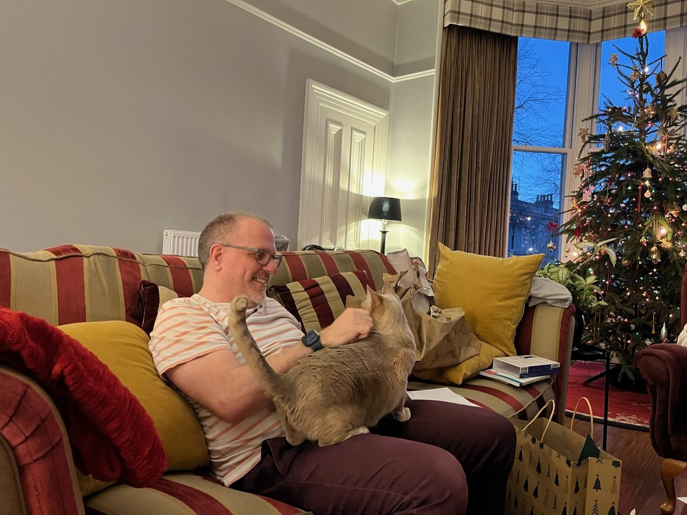 John Paul Fitzpatrick smiling on the sofa at Christmas, holding one of his cats, with the Christmas tree lit up behind him