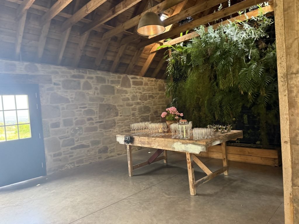 A drinks table laid with rows of glasses in a stone-walled room at Guardswell Farm, a wall of hanging ferns behind it and a window looking out over green farmland