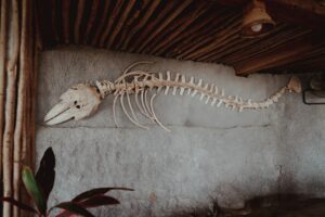 Photo Rustic decor