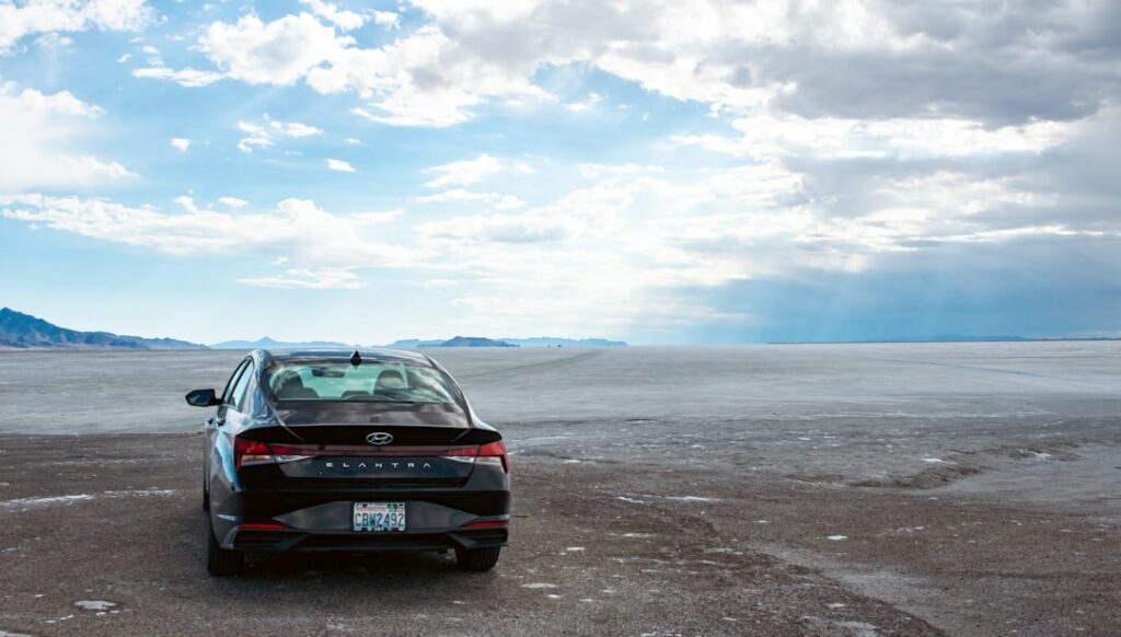 Photo Scenic backdrop